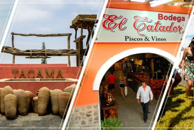 ICA | WINERY TOUR